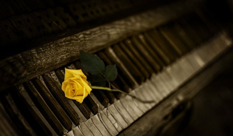 piano_rose_keys_108849_602x339
